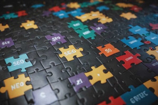 Comment les services de netlinking SEO peuvent transformer votre stratégie en ligne